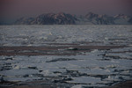 Greenland, pack ice 