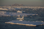 Greenland, pack ice