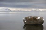 Svalbard, boulder
