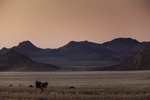 De Namib desert, the