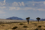 Namibia, Namib deser