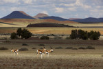 Namibia, Damaraland,