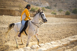 Petra, Arabic horse
